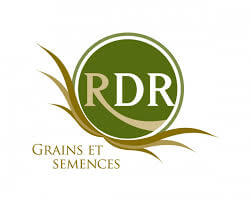 RDR GRAINS ET SEMENCES INC jobs